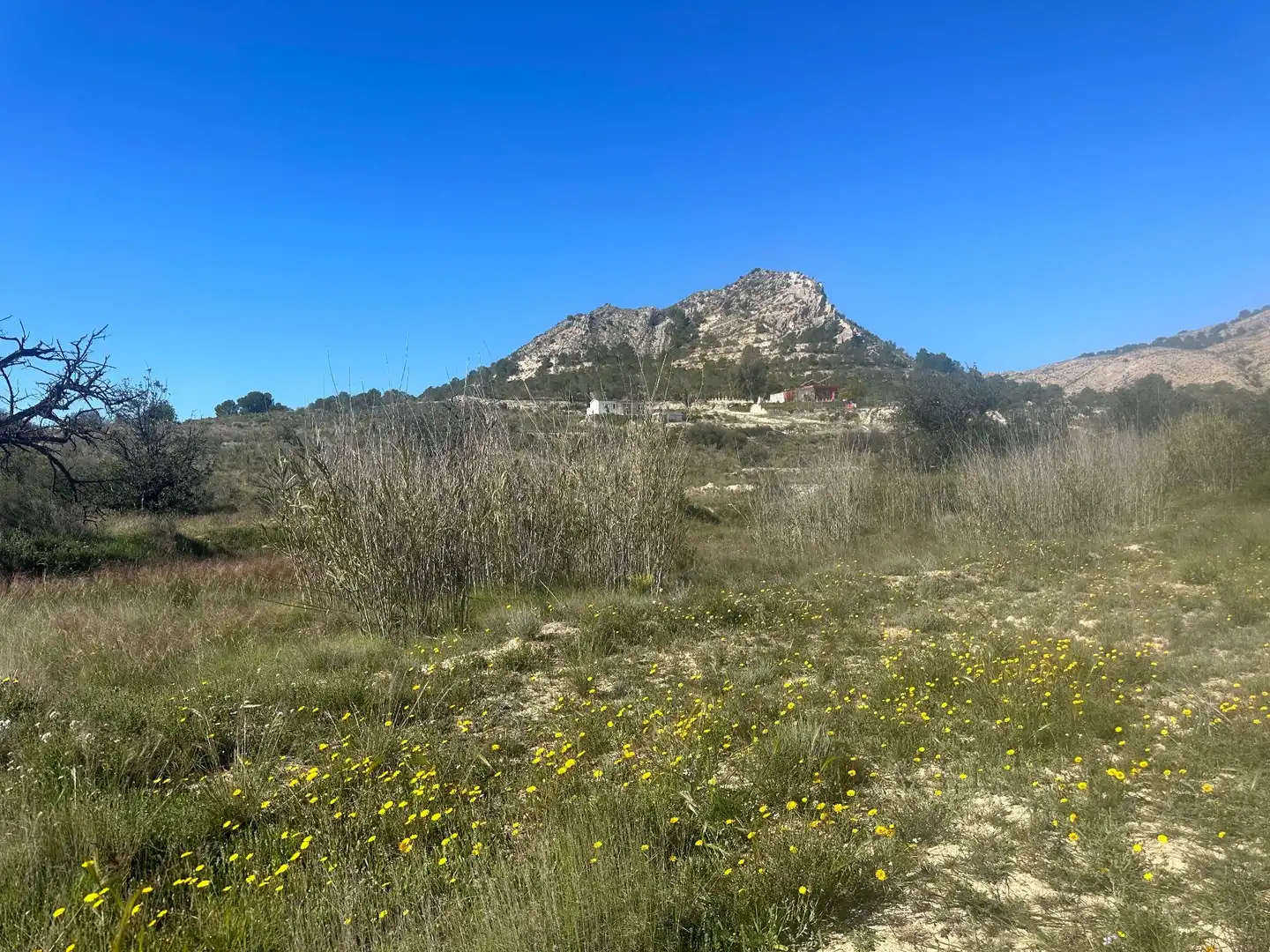 Terrains et parcelles à vendre à Agost, imagen 7