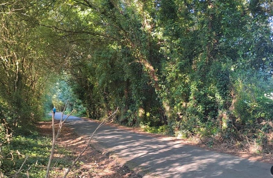 Vista exterior de Residencial en venda en Cambre 