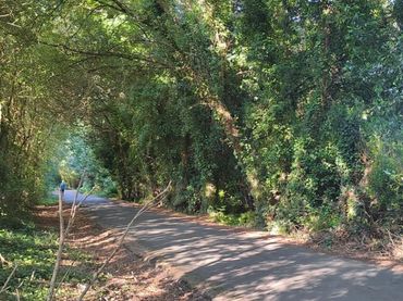 Wohnbaugrundstück zum Verkauf in Rúa Bosque Animado 8
