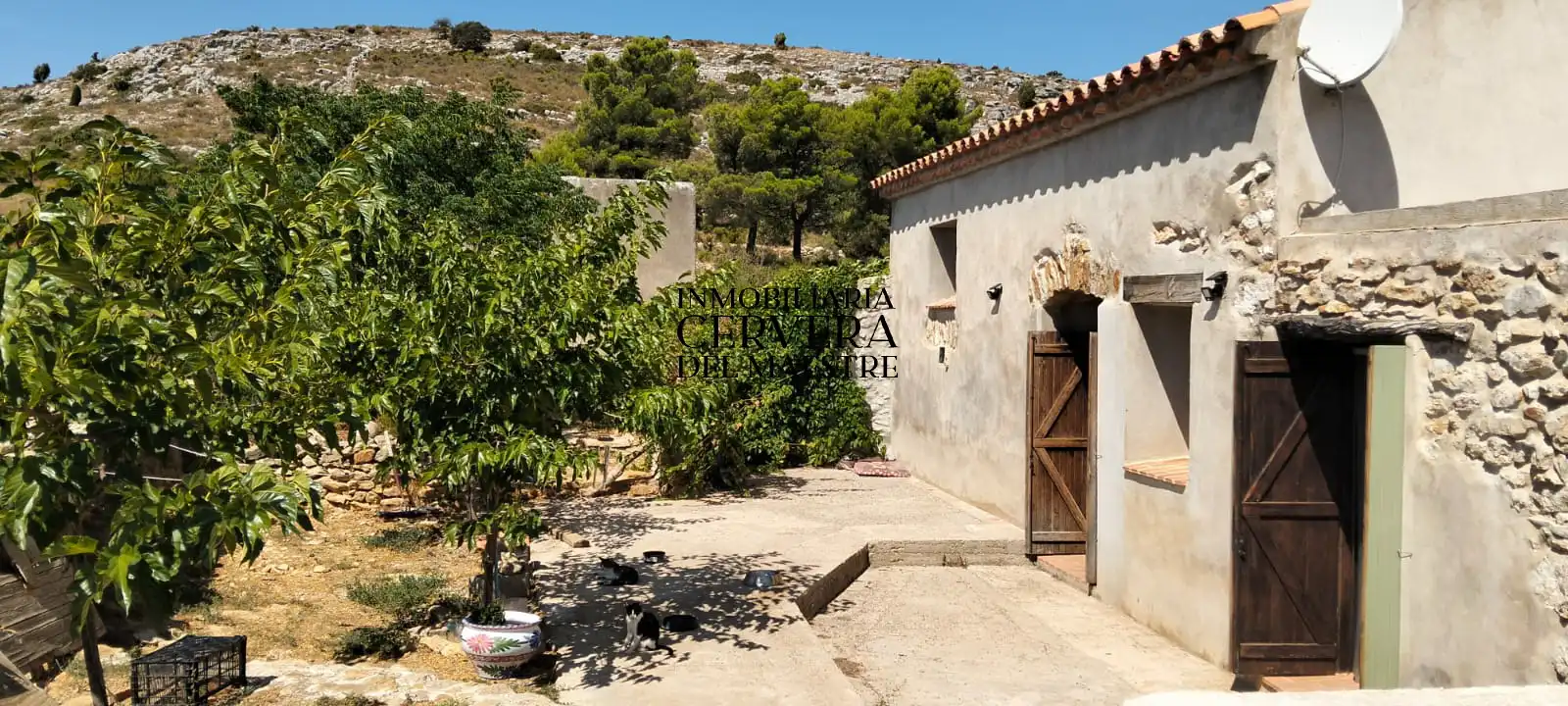Vista exterior de Finca rústica en venda en Albocàsser