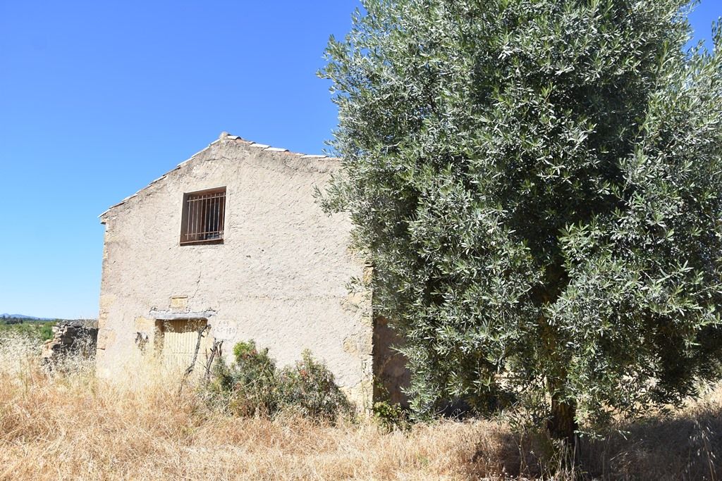 Exterior view of Land for sale in Arens de Lledó