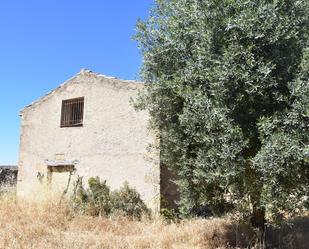 Vista exterior de Terreny en venda en Arens de Lledó