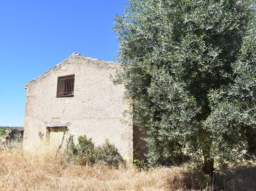 Terreno rustico in vendita a Plaza Mayor 7