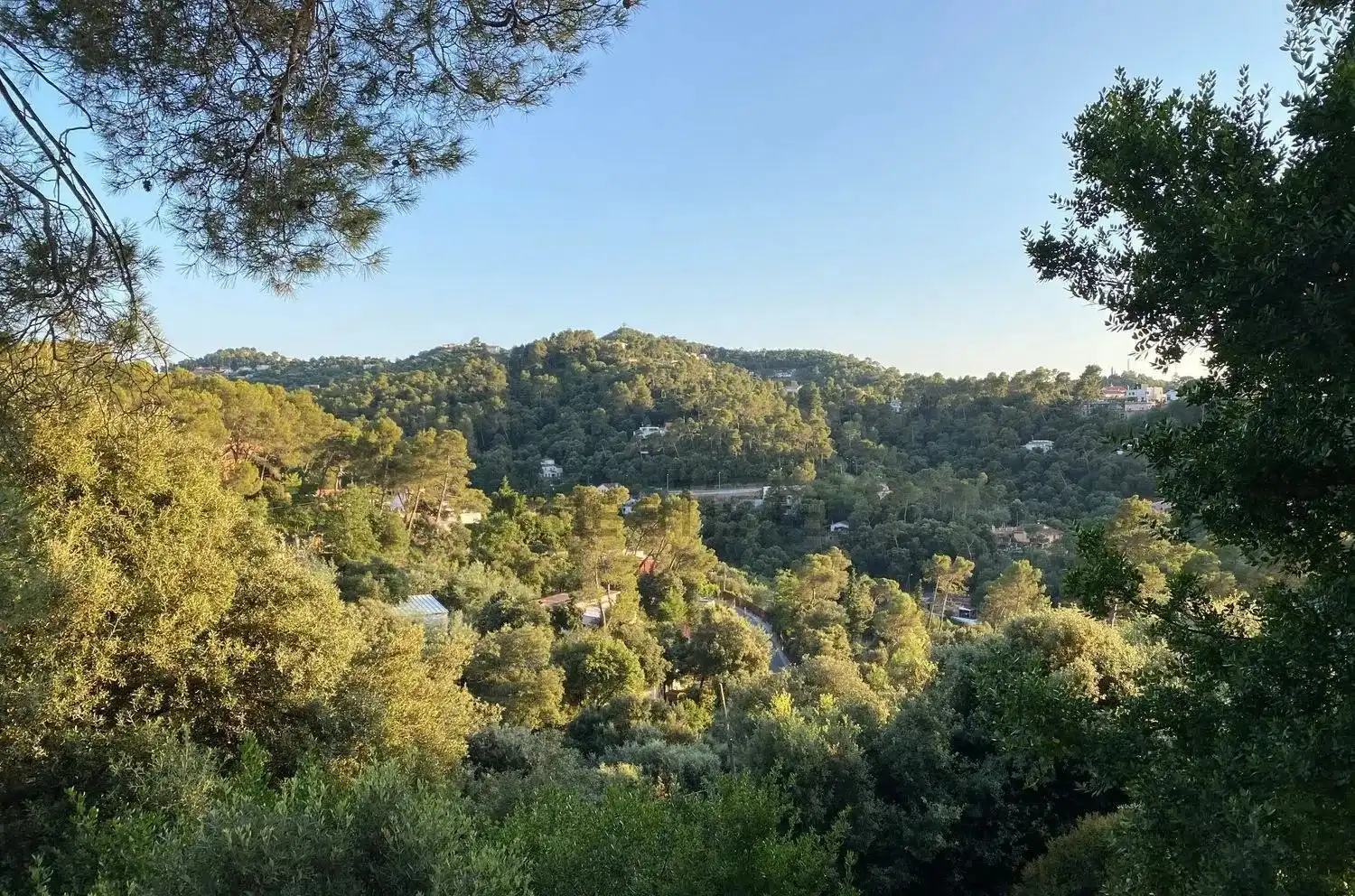 Terreno residenziale in vendita a La Floresta