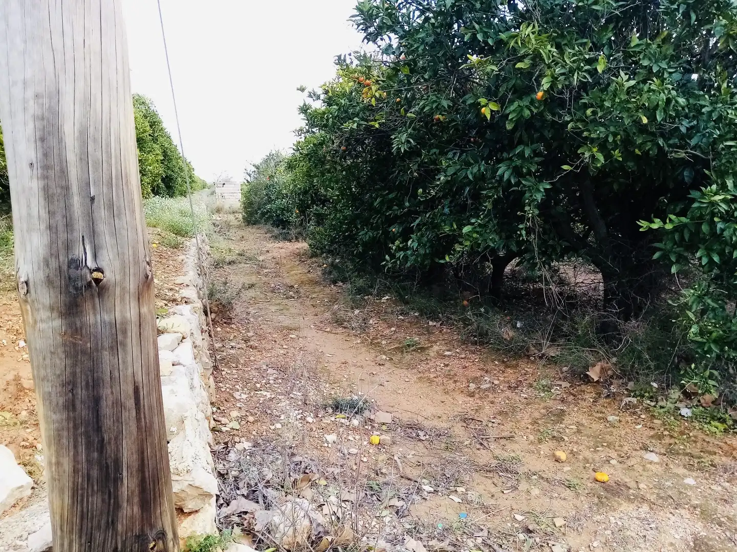 Terreno en venta en Pedreguer