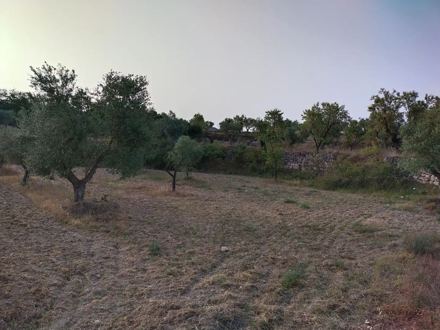 Terreno rústico en venta en Cervià de Les Garrigues, imagen 5