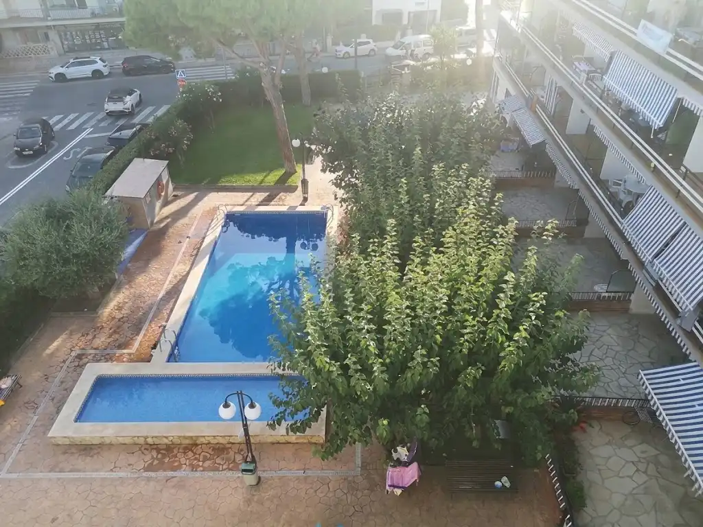 Swimming pool of Flat for rent in Can Toni