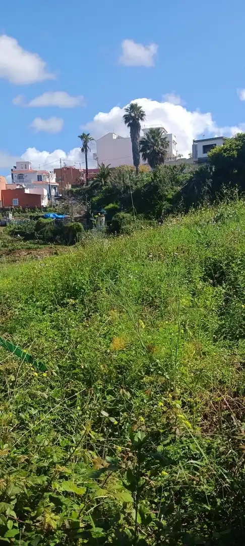 Terreny residencial en venda a El Sauzal, imagen 14