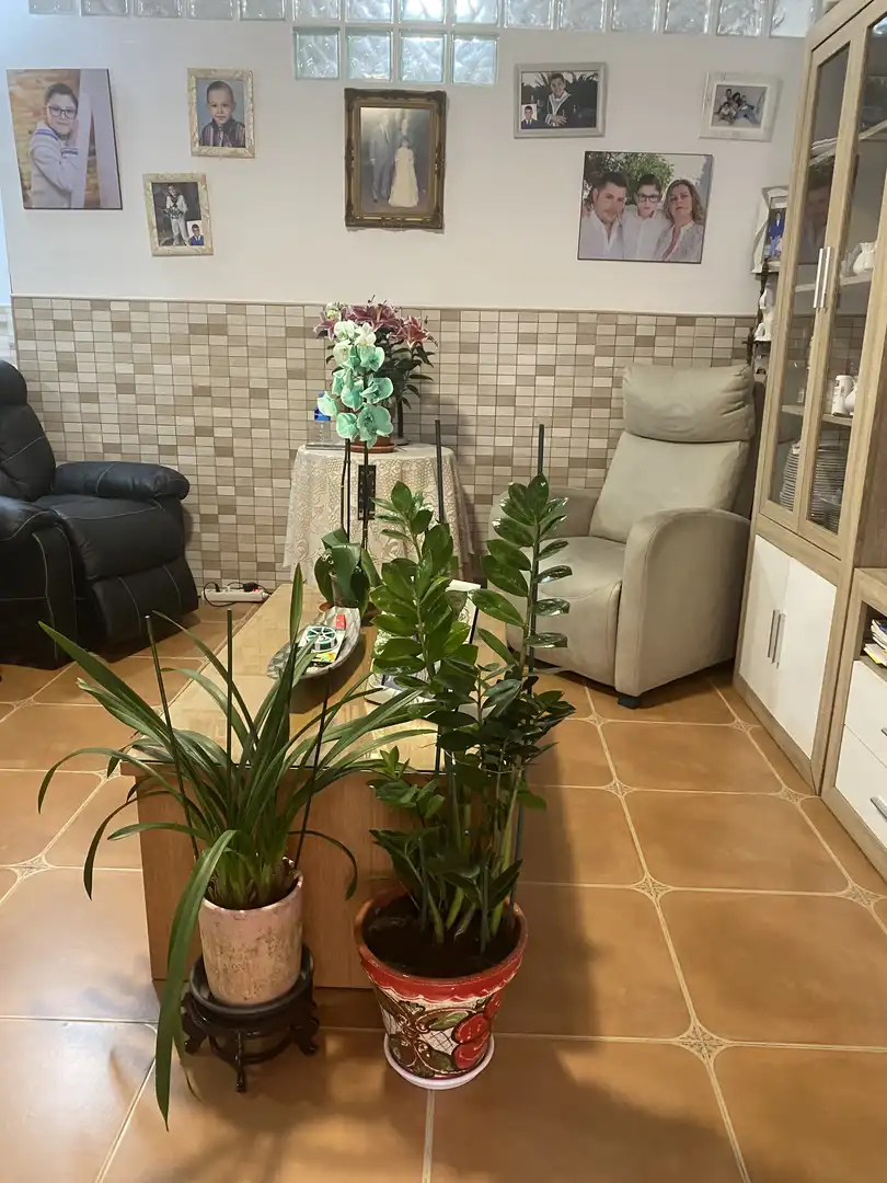 Sala de estar de Casa o chalet en venta en El Ejido con Trastero