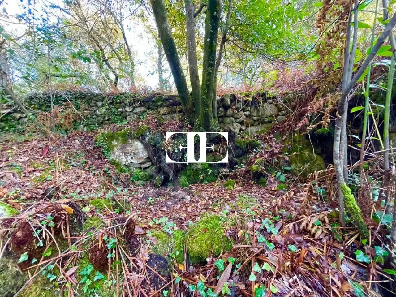 Terreno rustico in vendita a Poligono 15 Parcela 363 Jardin Oia, imagen 14