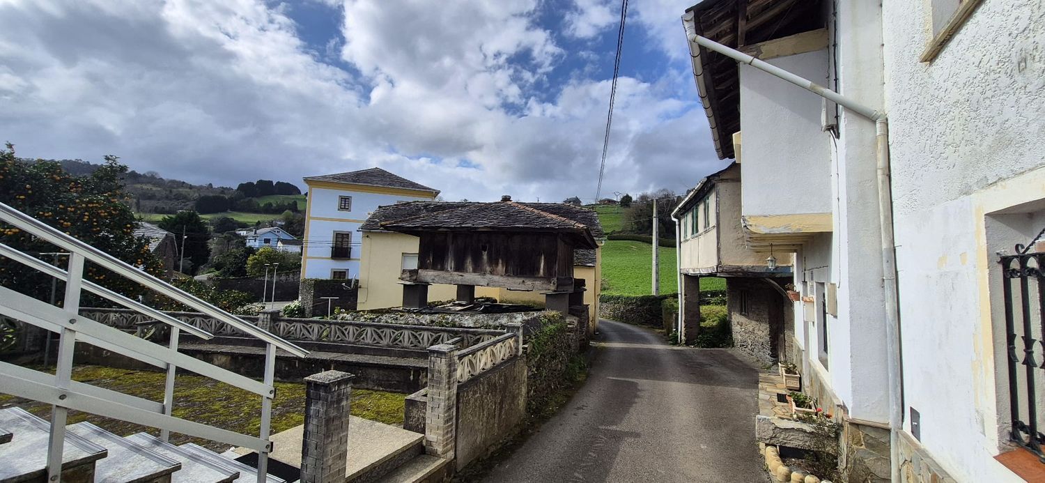 Casa o xalet en venda a Coaña
