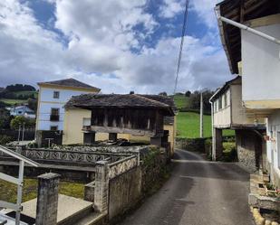 Vista exterior de Casa o xalet en venda en Coaña amb Calefacció i Piscina