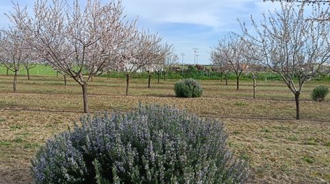 Photo 5 of Land for sale in Camino de Valdehuecas, 13, Rielves, Toledo