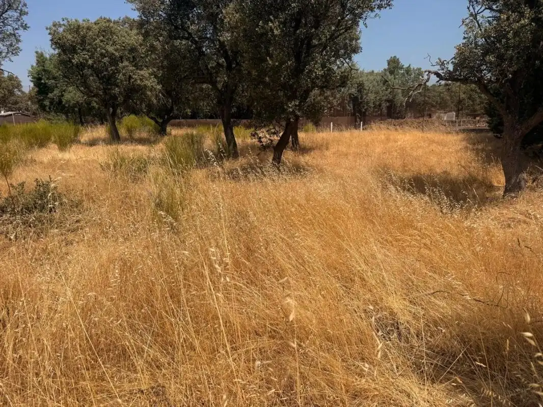Residential land for sale in Camino de los Barrizales, imagen 5