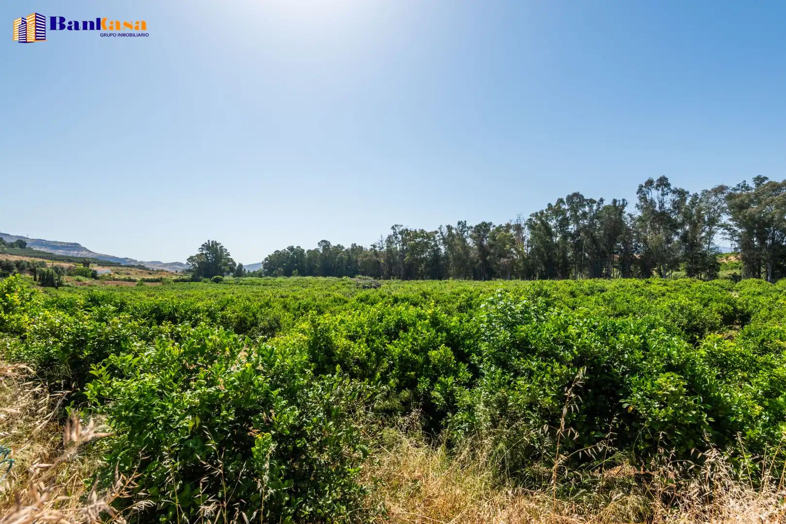 Terreno en venta en Pizarra