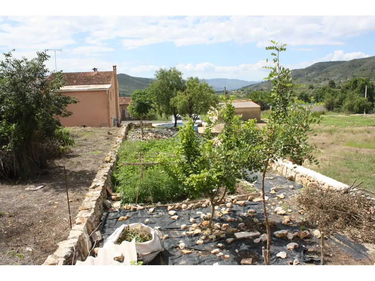 Jardín de Casa o chalet en venta en Pinet con Jardín privado
