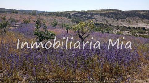 Foto 3 de Casa o chalet en venta en Zarzalico, Murcia