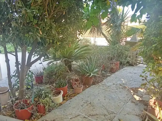Garden of Houses for sale in Ciutadella de Menorca  with Terrace and Storage room