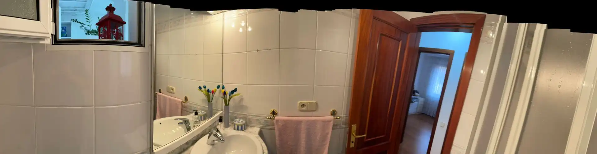 Bathroom of Flat for sale in Las Palmas de Gran Canaria  with Storage room, Furnished and Oven