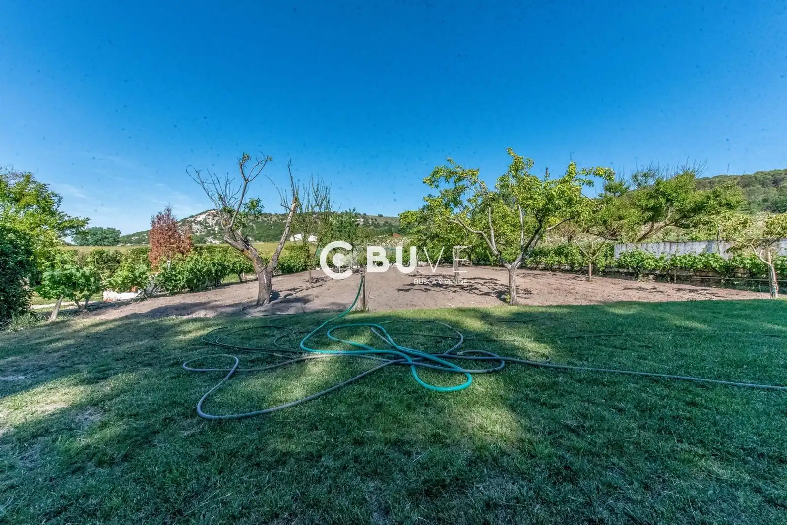 Chalet con piscina en venta en de la Oliva, imagen 29