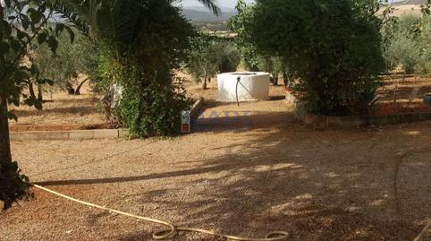 Foto 5 de Finca rústica en venda a Almuradiel, Ciudad Real