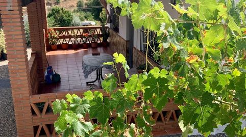 Foto 3 de Finca rústica en venta en De la Serrana, Pizarra, Málaga