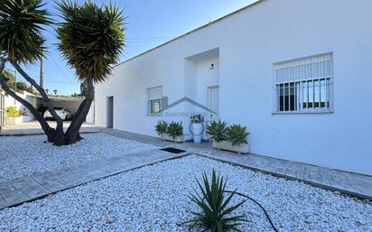 Vista exterior de Casa o xalet en venda en Alberic amb Aire condicionat, Jardí privat i Terrassa