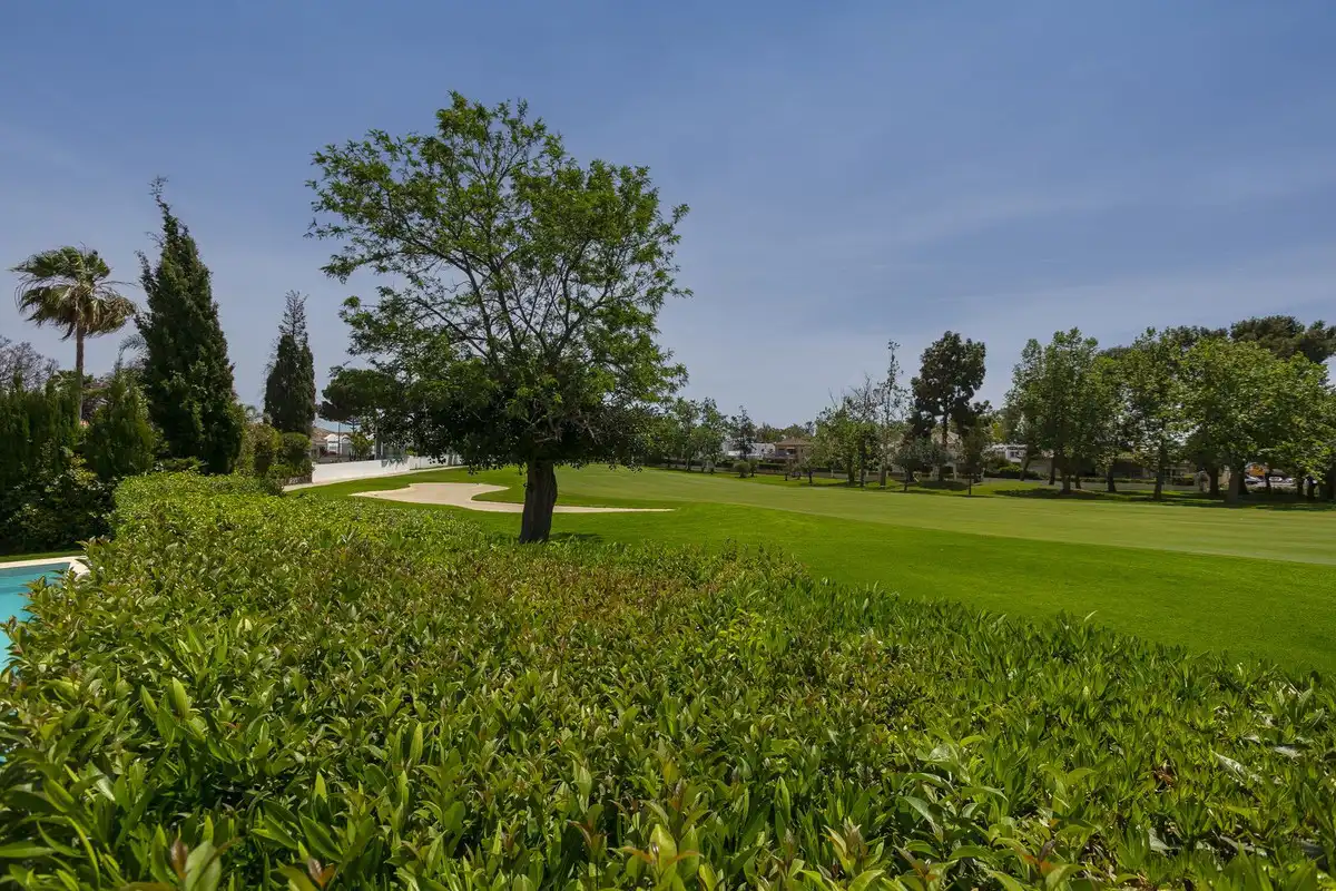 Vista exterior de Casa o chalet en venta en Marbella con Jardín privado, Terraza y Piscina