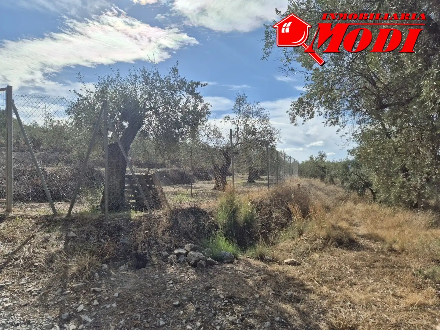 Lands and plots for sale in Dúrcal, imagen 17