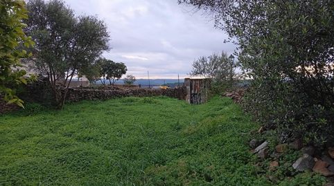 Foto 4 de Casa o xalet en venda a Plaza Fernando Alonso Lopez, El Madroño, Sevilla