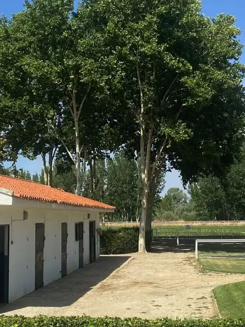 Vista exterior de Finca rústica en venta en Aranjuez con Aire acondicionado, Calefacción y Jardín privado