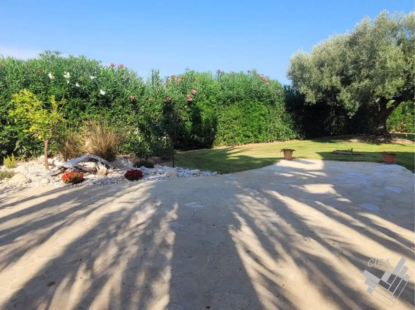 Jardín de Casa o chalet en venta en Benicarló con Aire acondicionado, Jardín privado y Terraza