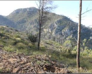 Land for sale in Aielo de Rugat