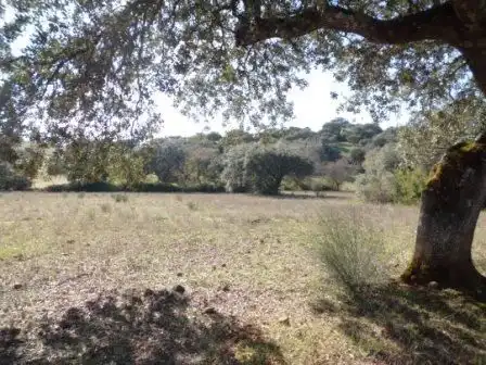 Residential land for sale in Fuente Obejuna, imagen 3