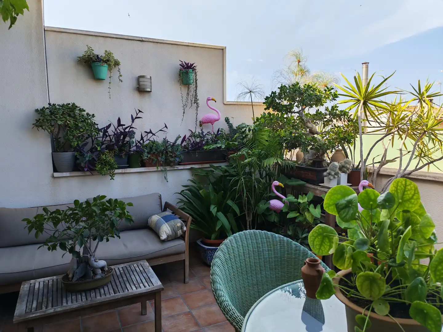 Terraza de Ático en venta en Elche / Elx con Aire acondicionado, Parquet y Terraza