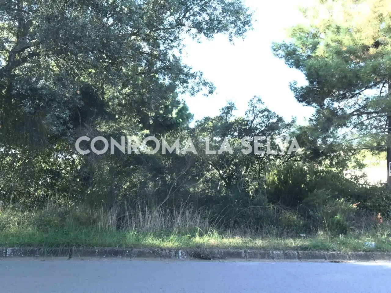 Terreny residencial en venda a Lloret Residencial - Montlloret, imagen 4