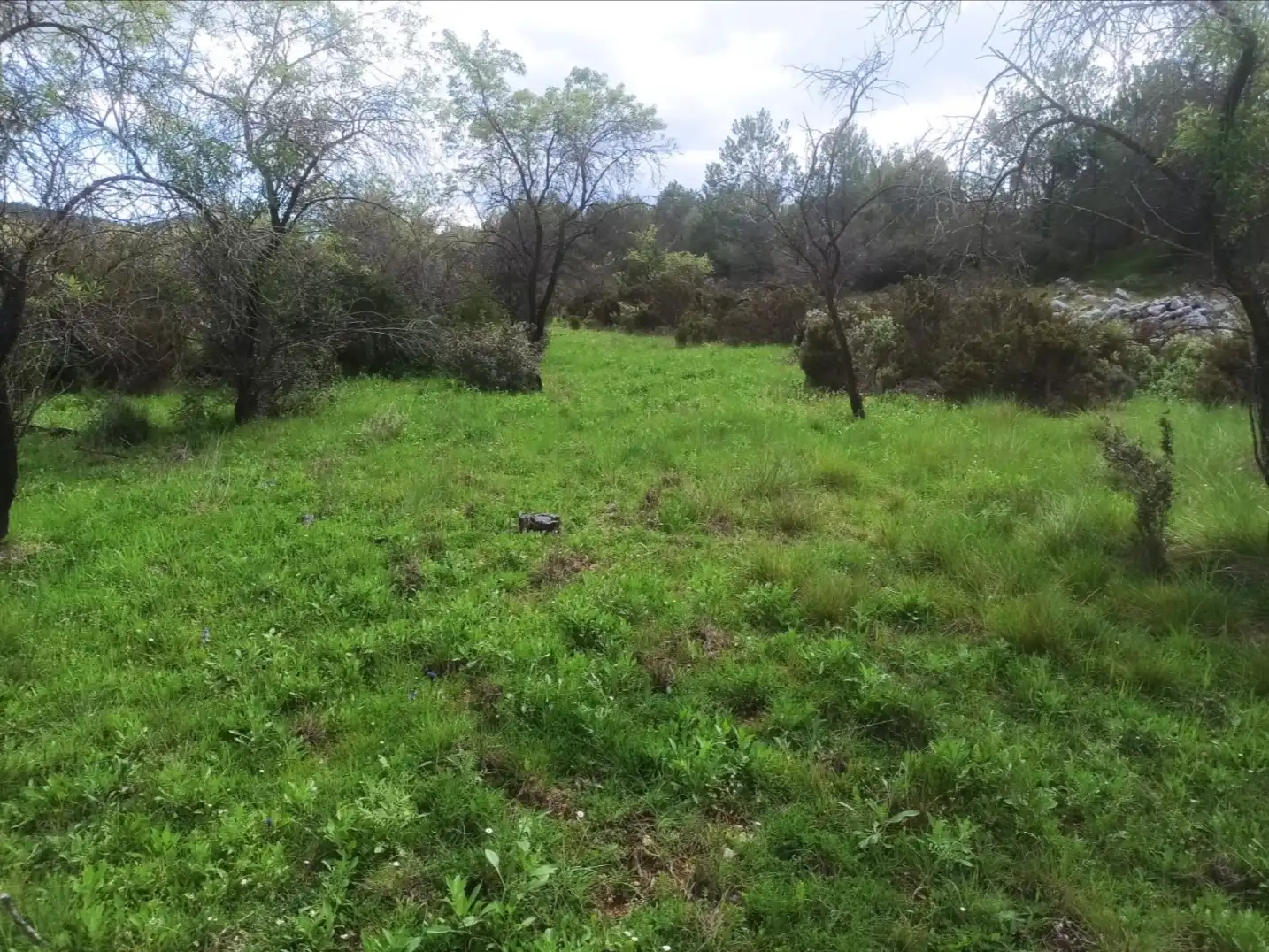Rural land for sale in Poligono 1, imagen 7