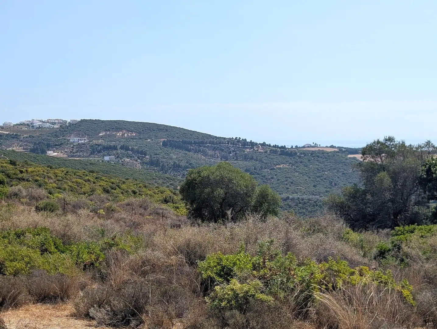 Terreno rustico in vendita a Casares 10, imagen 7