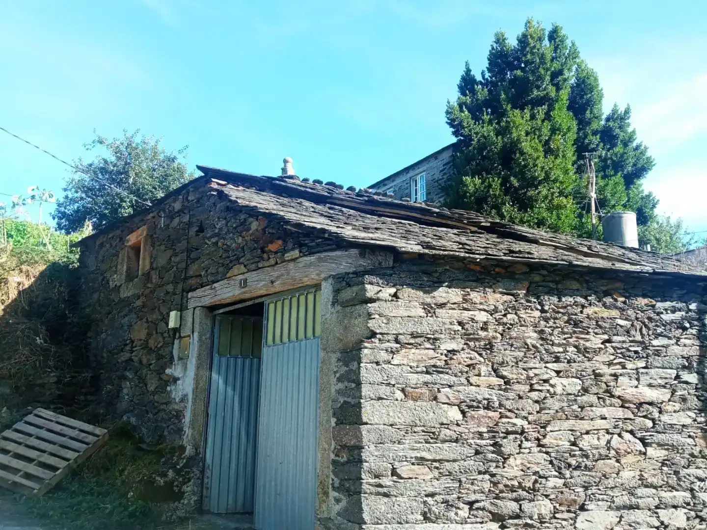 Vista exterior de Finca rústica en venda en Cervantes