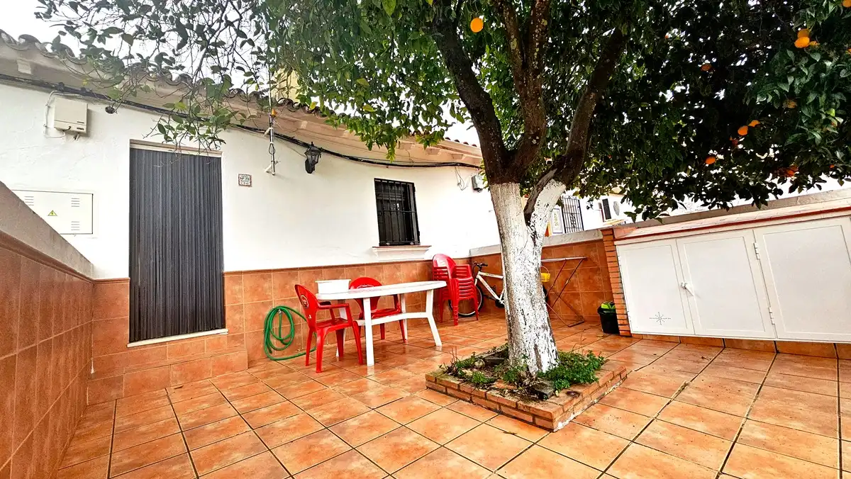 Vista exterior de Casa o chalet en venta en Almonaster la Real con Amueblado