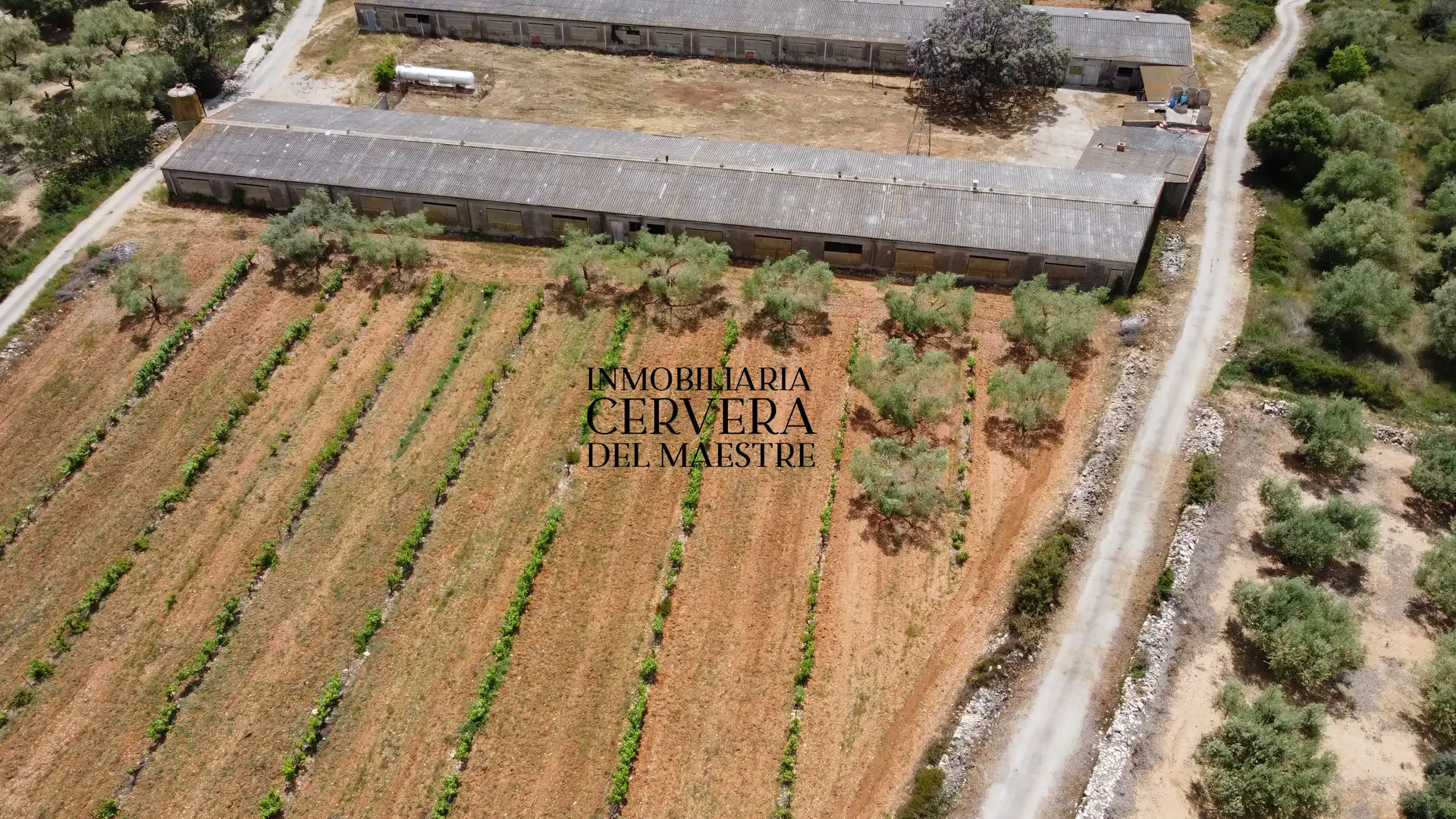Terreno rustico in vendita a Cervera del Maestre, imagen 26