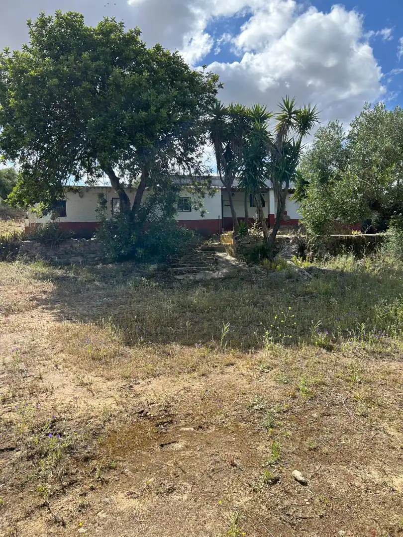 Terrain rustique à vendre à Arcos de la Frontera, imagen 13