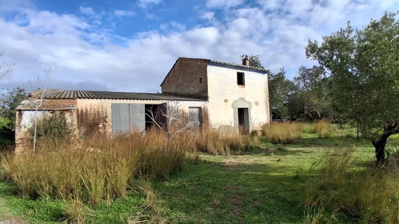 Vista exterior de Finca rústica en venta en L'Ampolla