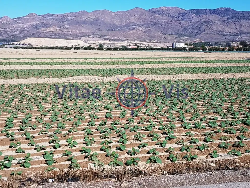 Residential land for sale in Diseminados Cazalla, imagen 2