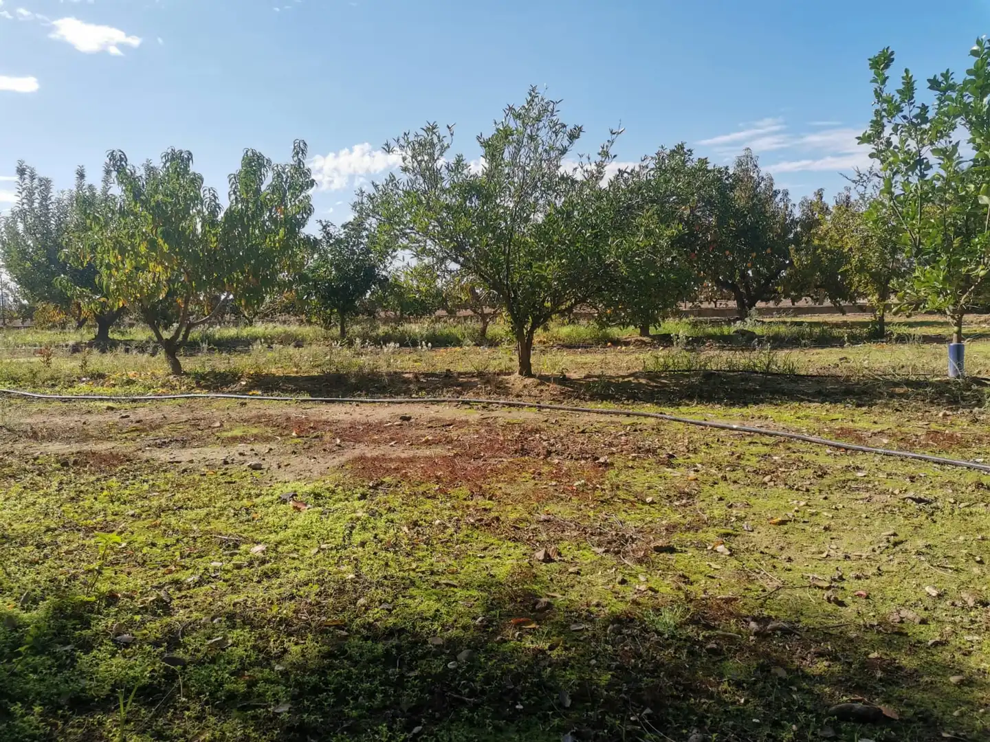 Terreni e lotti in vendita a Poblado Villanueva de la Serena 48, imagen 4