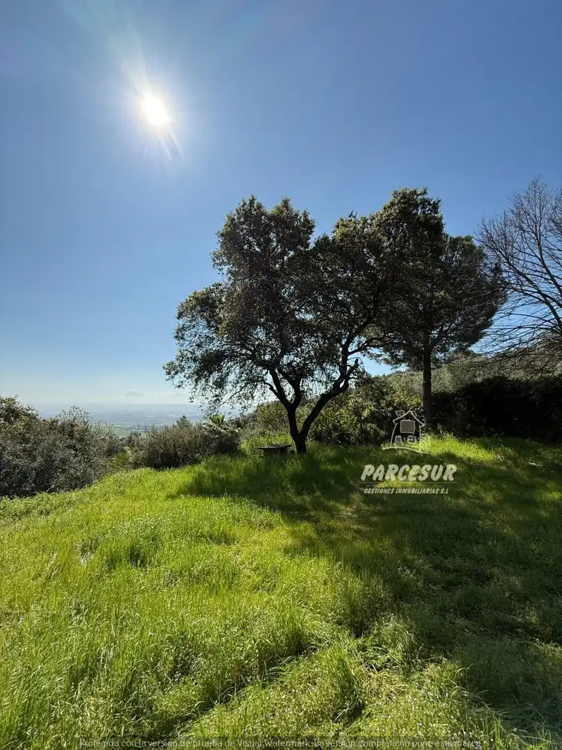 Finca rústica en venda en Córdoba amb Jardí privat i Traster