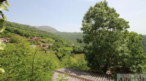 Foto 4 de Finca rústica en venta en Lugar las Vallinas, Quirós, Asturias