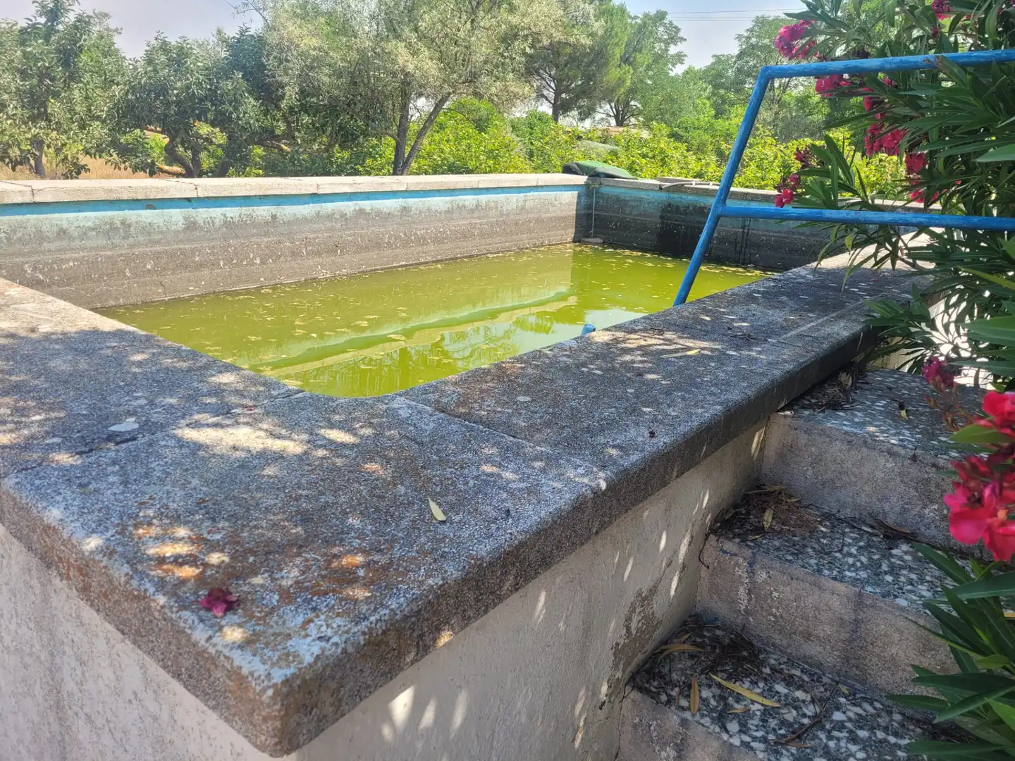 Piscina de Casa o chalet en venta en Matapozuelos con Calefacción y Jardín privado