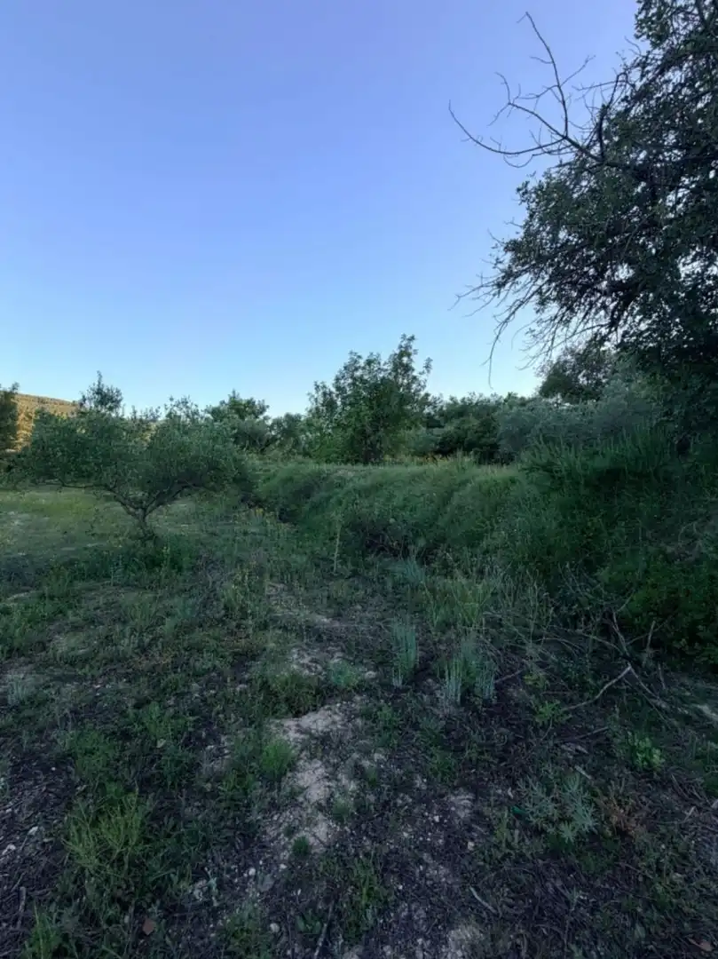 Terreny residencial en venda a El Juncal - Vallealto, imagen 28