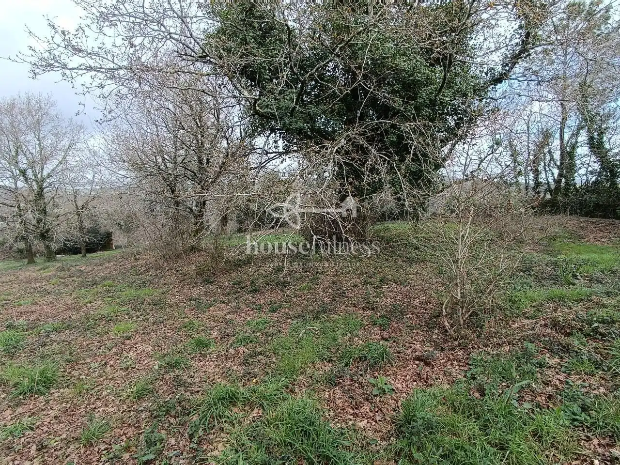 Terreni e lotti in vendita a Parroquias de Santiago, imagen 18